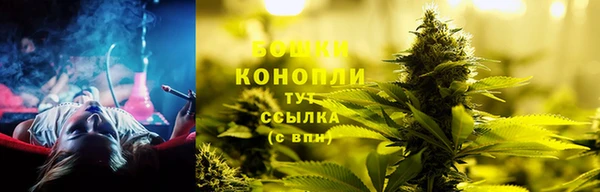 дурь Гусев