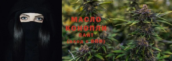 дурь Гусев