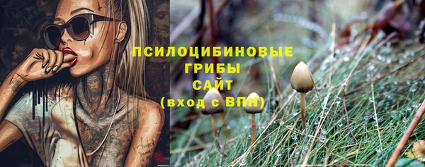 apvp Гусь-Хрустальный