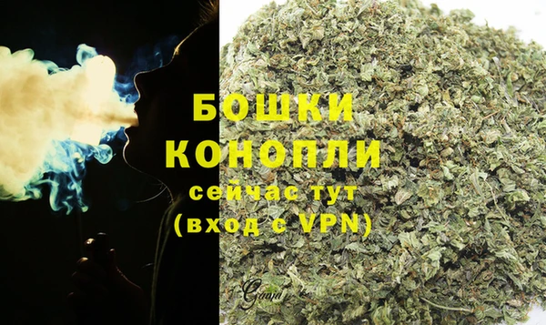 дурь Гусев