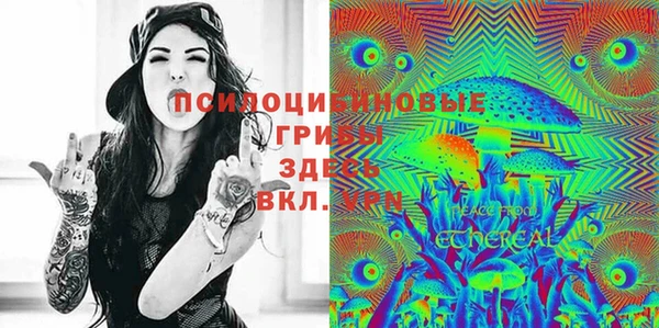 дурь Гусев