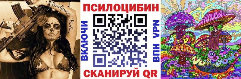 Купить закладки  Полярные Зори  Псилоцибиновые грибы ЛСД 